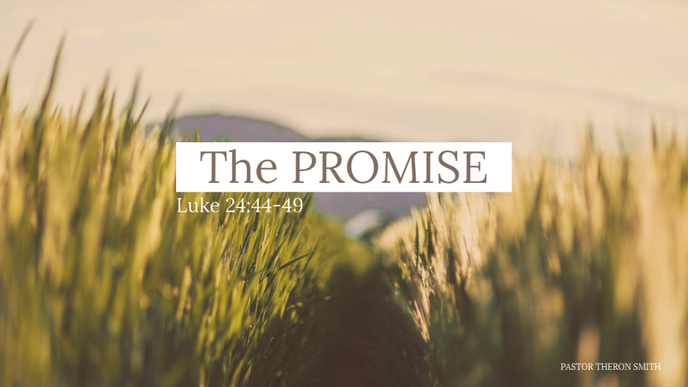 The Promise Image