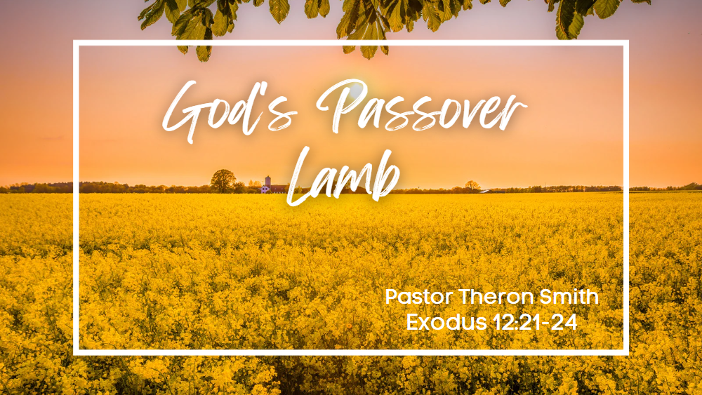 God's Passover Lamb Image